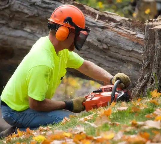 tree services Wareham Center